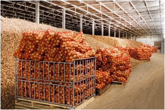 Строительство картофелехранилищ на 100 тонн